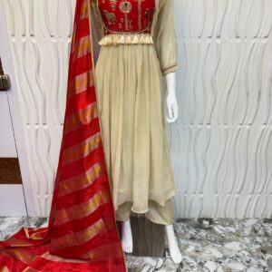 Designer Premium Kurti HSK74