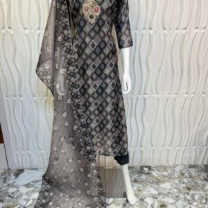 Designer Premium Kurti HSK48